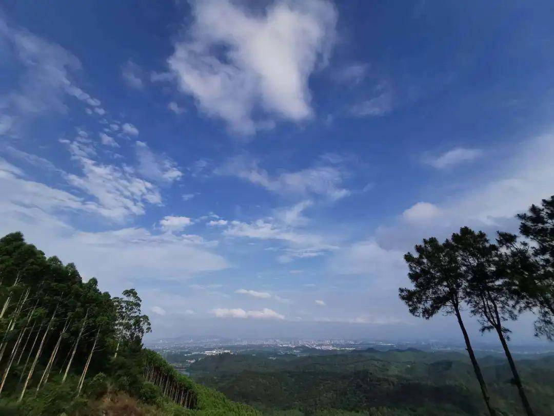 用心工作,快乐生活 | 南海a大区罗村a片区来一场高明茶山放松游