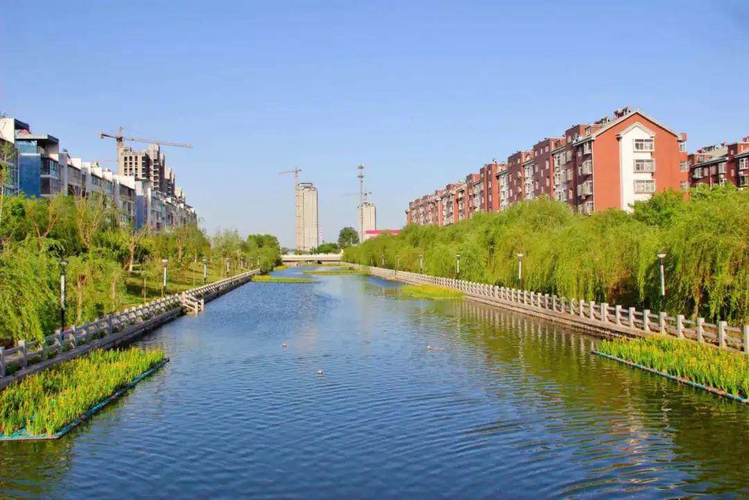 精打细算精益求精丨庆云城管用最少的钱建最美的城