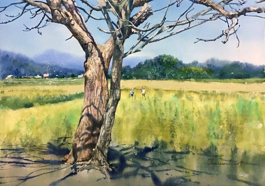 台湾画家蔡岳霖水彩作品