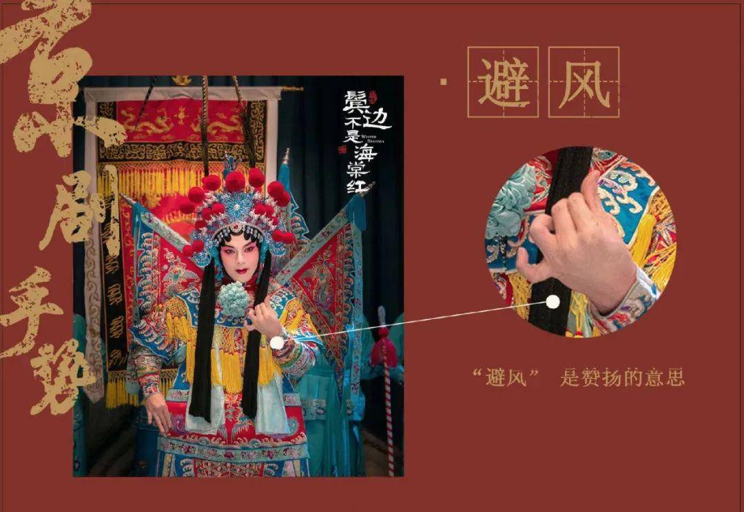 品国粹之美 丨 《鬓边不是海棠红》_京剧