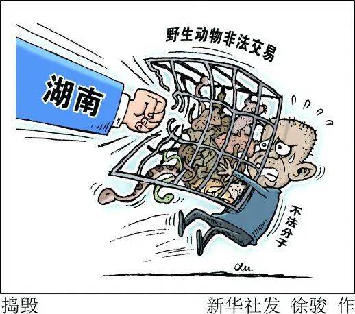 湖南全面禁止非法野生动物交易 依规退出给予补偿