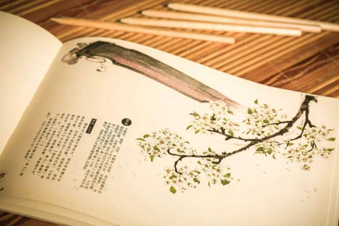 30句你常说的白话文“翻译”成古诗文,真是绝妙又美丽!_原文