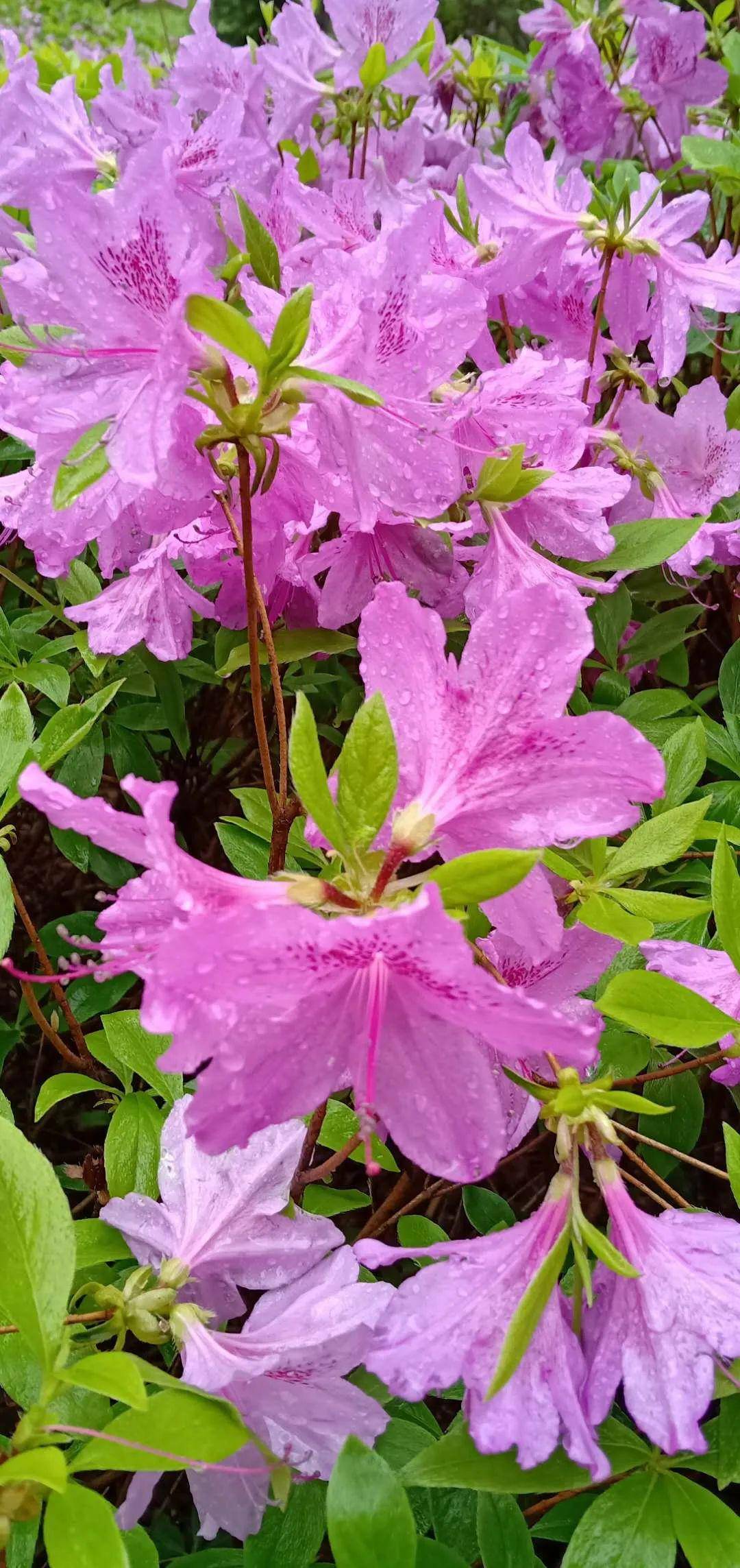 天气预报/八点全新闻·随手拍