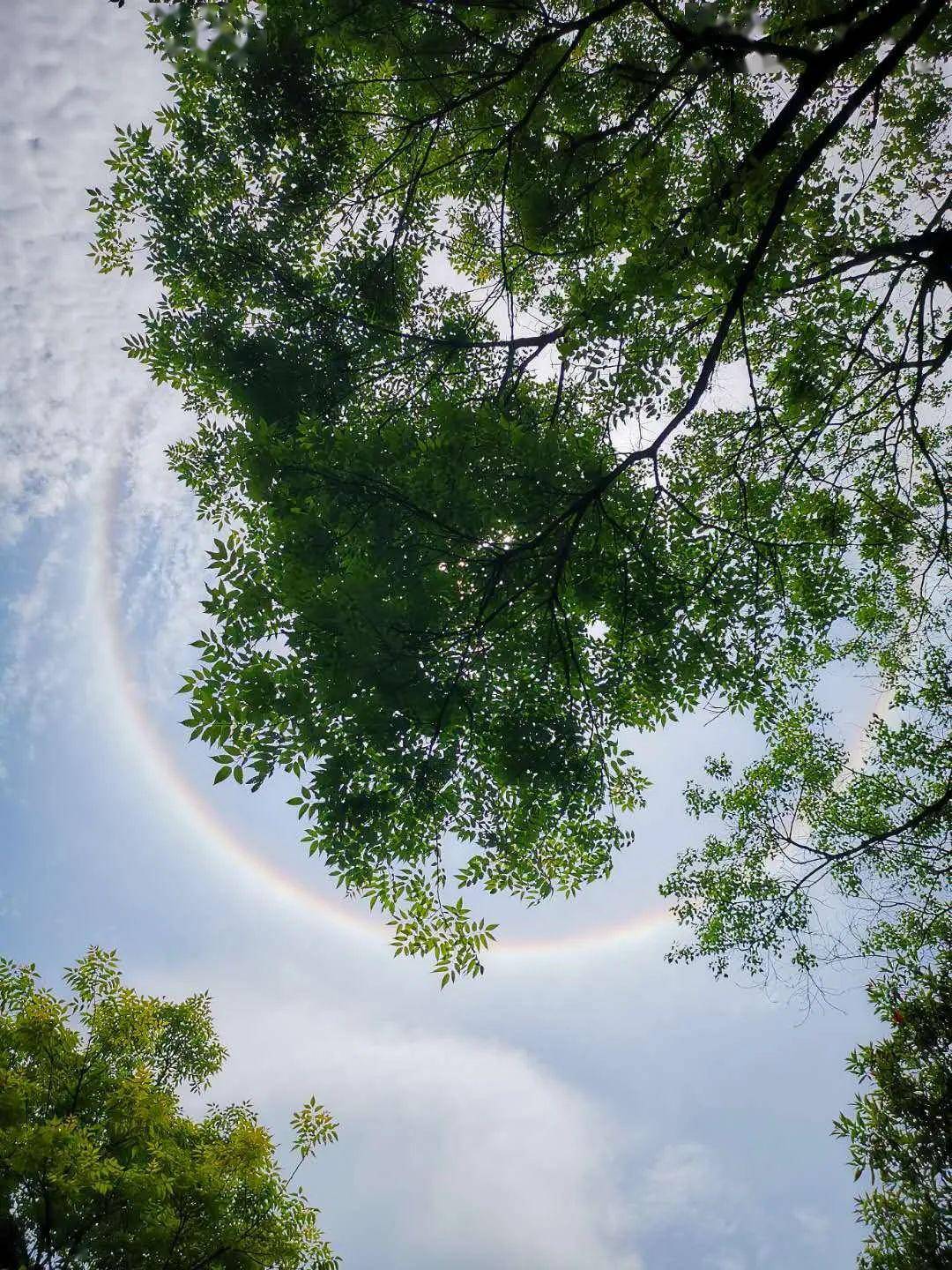 太阳被一道大的光圈包围天空有些许薄云据说出现日晕时抬头望去你