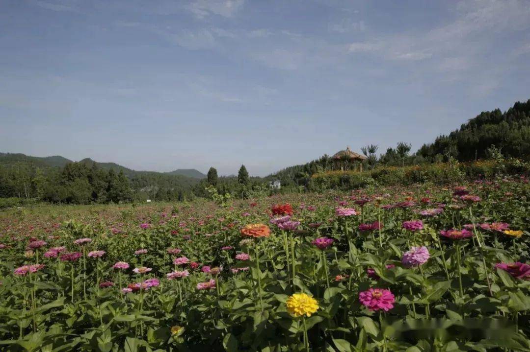 伏虎镇正觉寺村兴旅游建新村大力推动乡村振兴