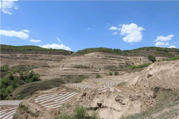 整整600亩:西吉县平峰镇80后青年韩军强的新型创业之路!