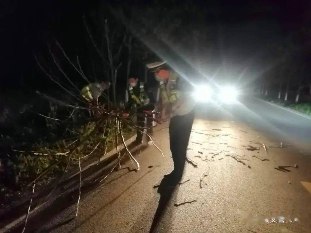 恶劣天气巡逻任务,当巡逻至樱观路古井村时,发现路边枯木被大风刮倒