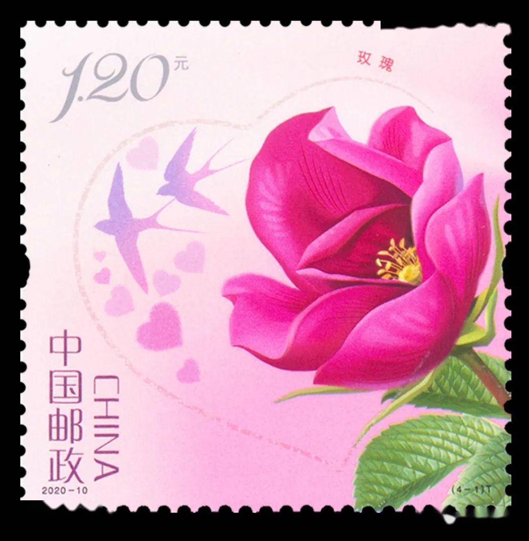 【新邮播报】《玫瑰》特种邮票即将发行