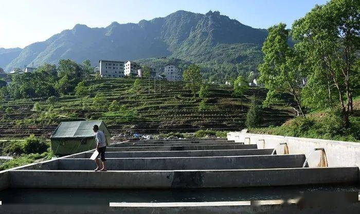 道真县旧城镇槐坪村位于旧城镇东南部,东与务川县接壤,南与棕坪乡翻