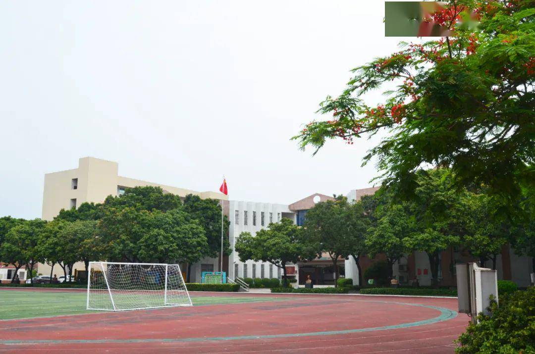 伴初夏日光逐少年梦想记石楼镇中心小学高学段学子顺利复课