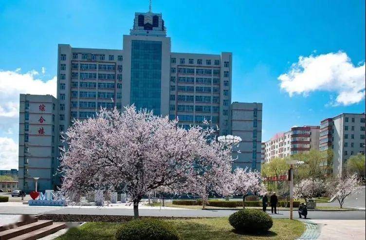 牡丹江师范学院风景图片