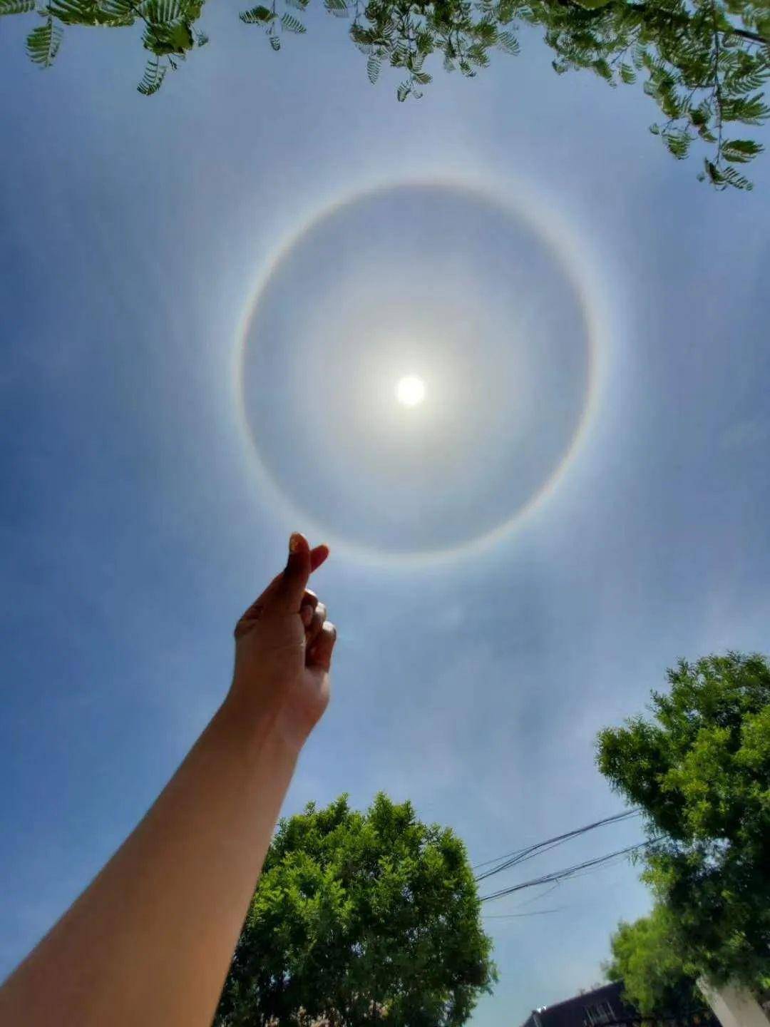 日暈刷屏!石家莊天空出現神奇一幕,這些謠言不要信