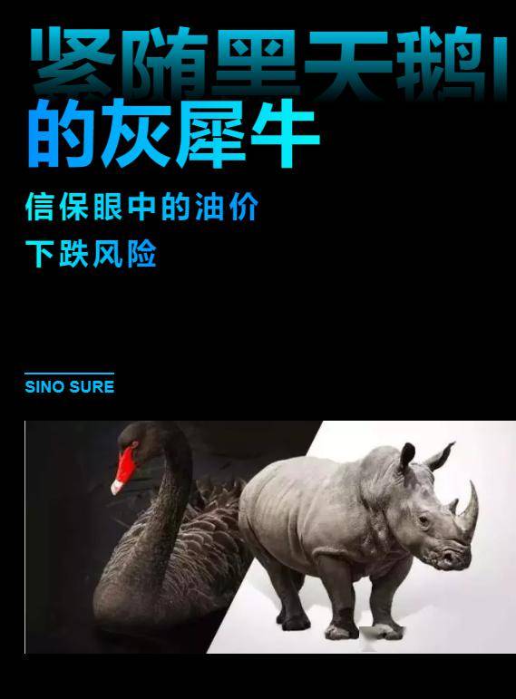 黑天鹅灰犀牛事件是什么意思，黑天鹅灰犀牛事件是什么意思铁路