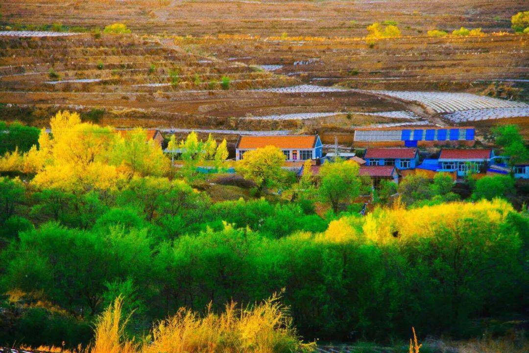 最美辽宁辽阳县河栏镇斑驳灿烂的田园色彩