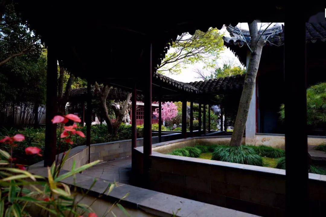 苏州园林系列:解读"留园",中国人的造梦空间!