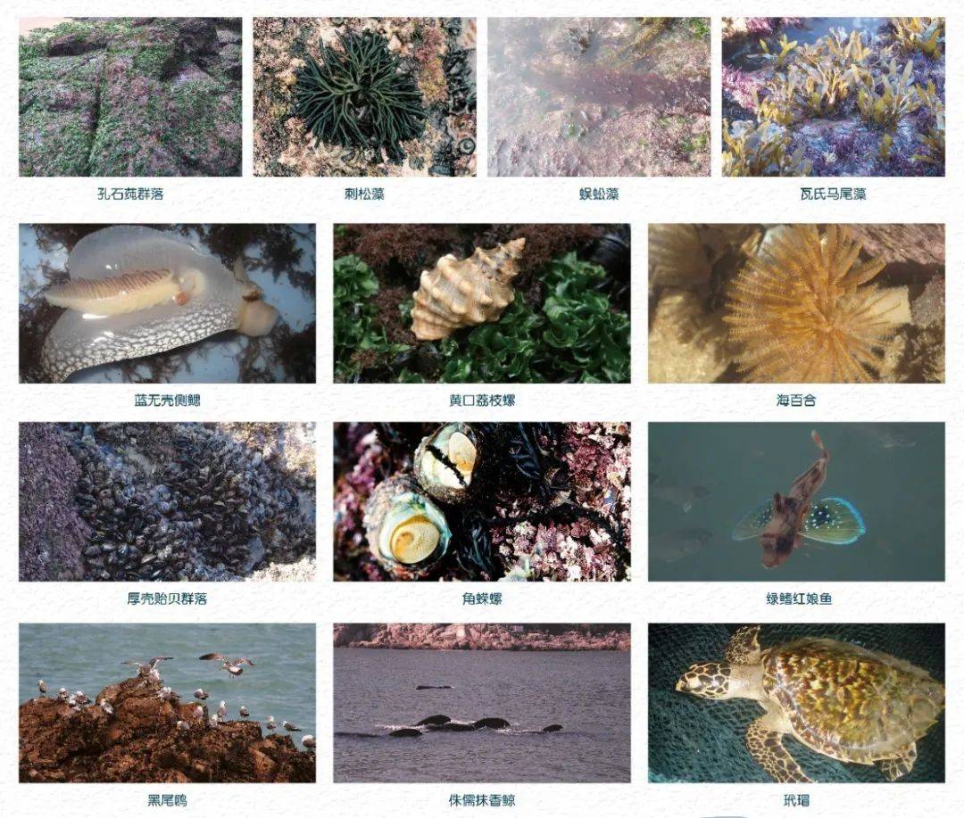 关于国际生物多样性日你了解多少