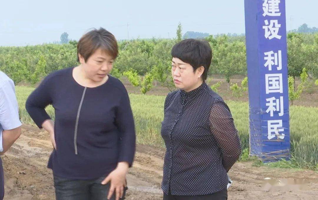 深州资讯省农业农村厅副厅长刘振洲到大冯营乡东安庄乡调研