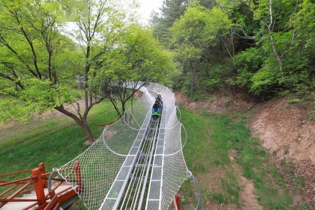 采蘑菇,寻小鹿,映着星光看电影,住原始森林小木屋