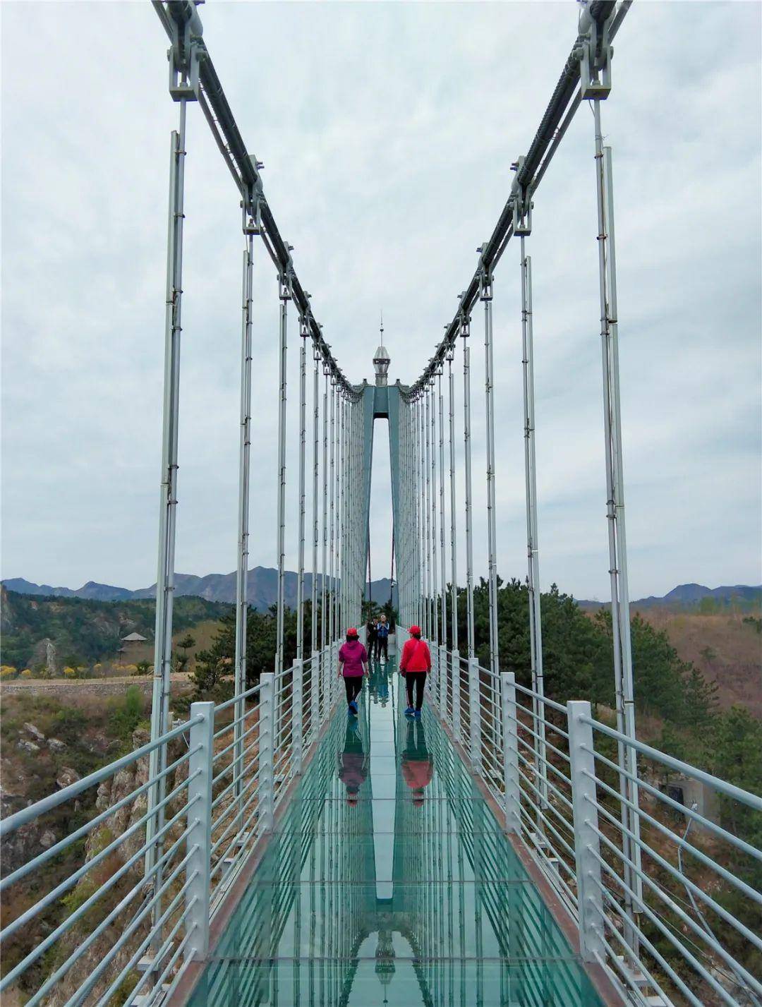 凤垭山吊桥图片