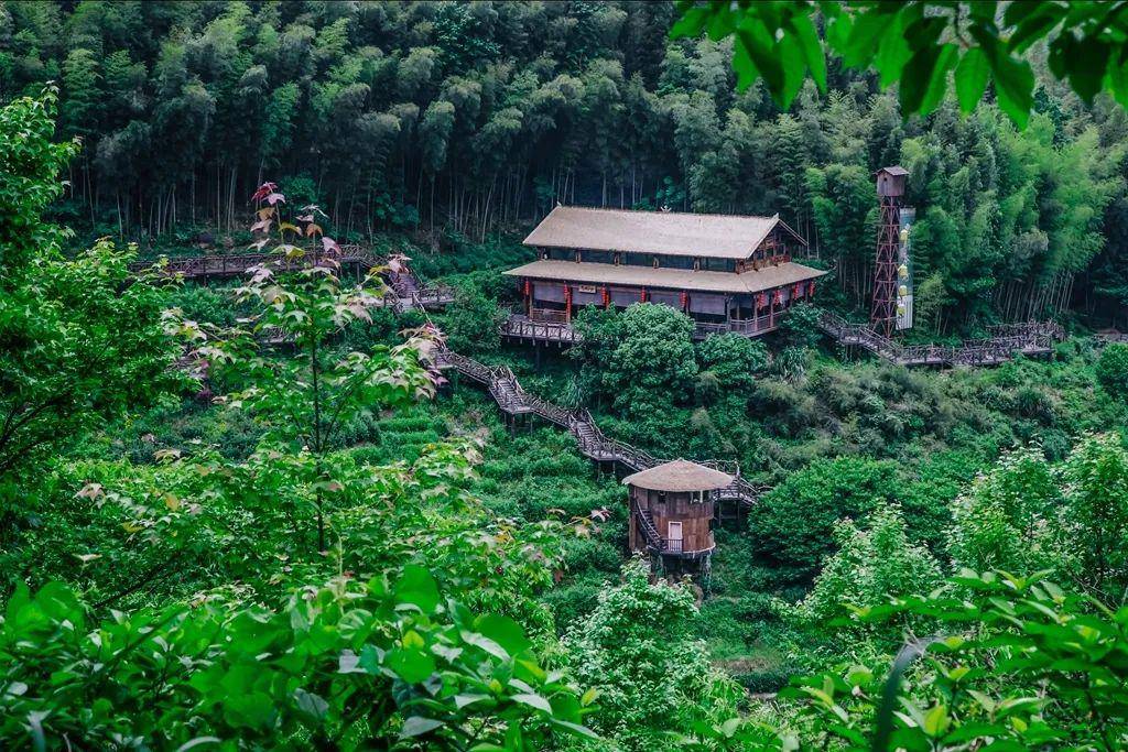 在景宁遇见不一般的东弄