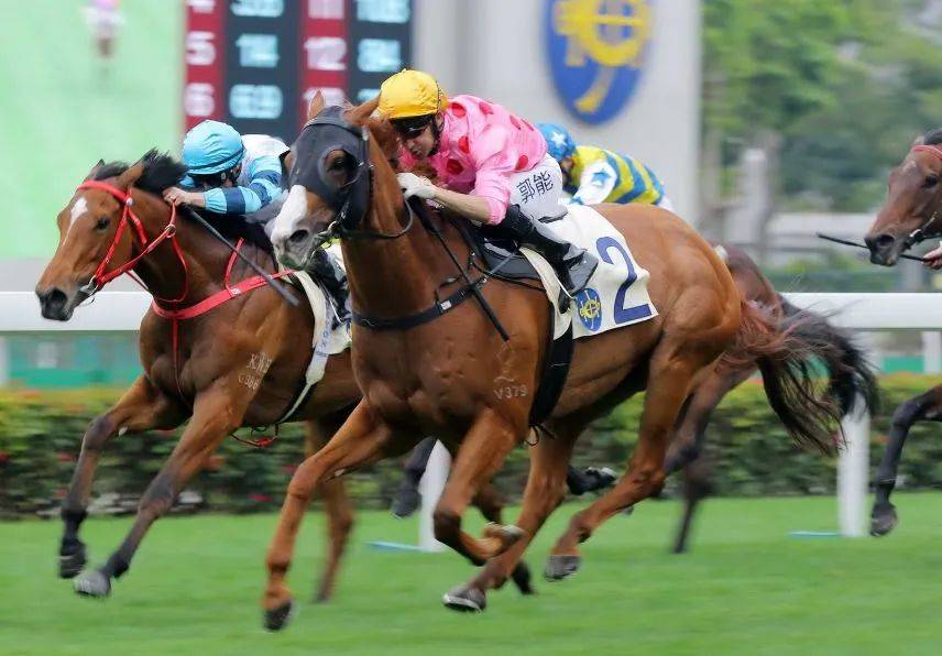 烽火台跳槽马与时间赛跑