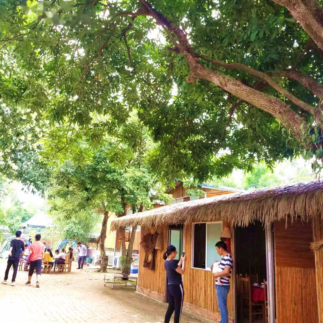 贵港这家农庄竟藏着超正的【秘制鲍鱼煲鸡】 29.9元吃到扶墙!