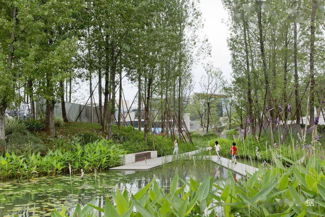 案例二:成都云朵乐园在滨水空间设计过程中,不能过分追求景观造型和