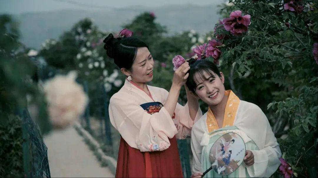 大美临洮牡丹仙子穿越而来惊艳时光