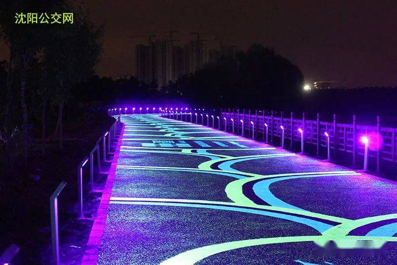 全市最长荧光跑道亮相了!快去打卡!_沈阳