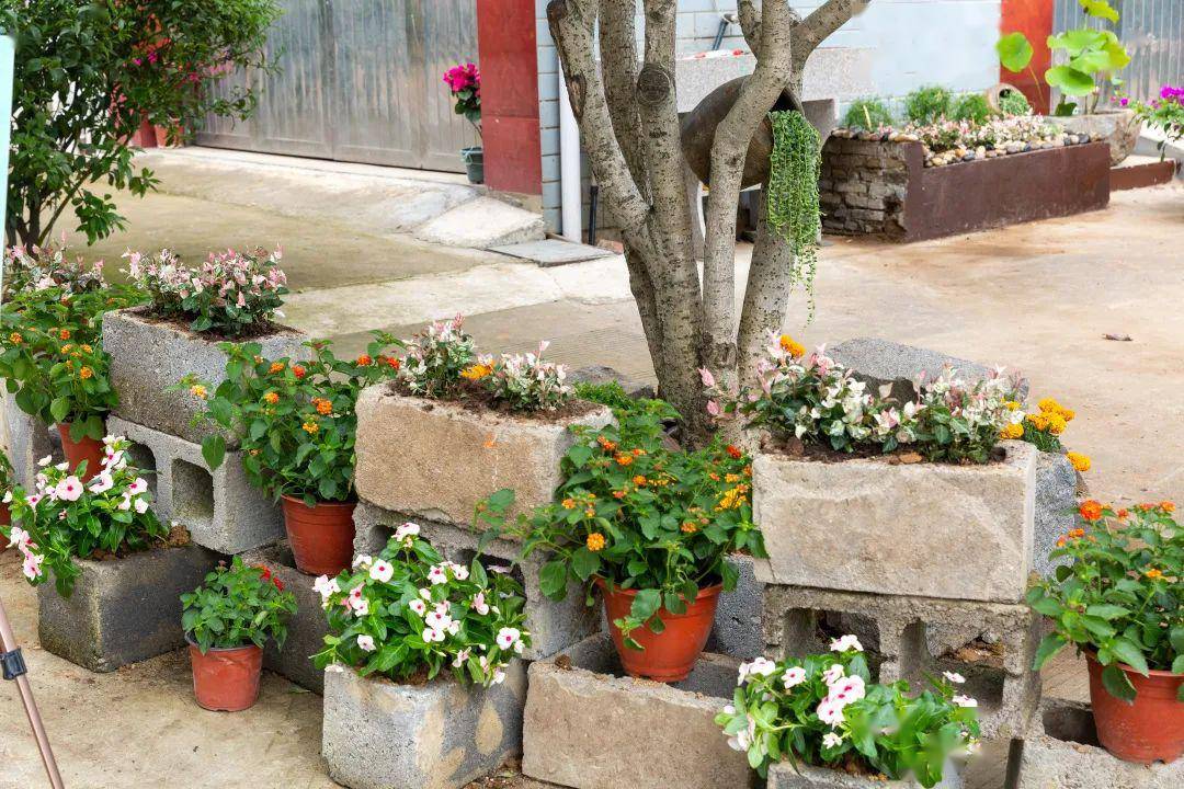 美好如期而至,台州市美丽庭院创意秀暨临海市美丽庭院改造计划第一季