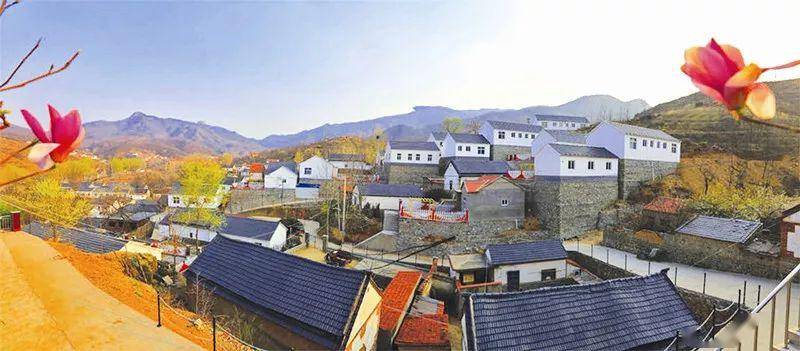 中郝峪村 的成功并非偶然,以下7个要素,缺少每一个都很可能导致郝峪