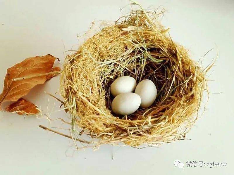 签约诗人丁广龙一丁微诗五首