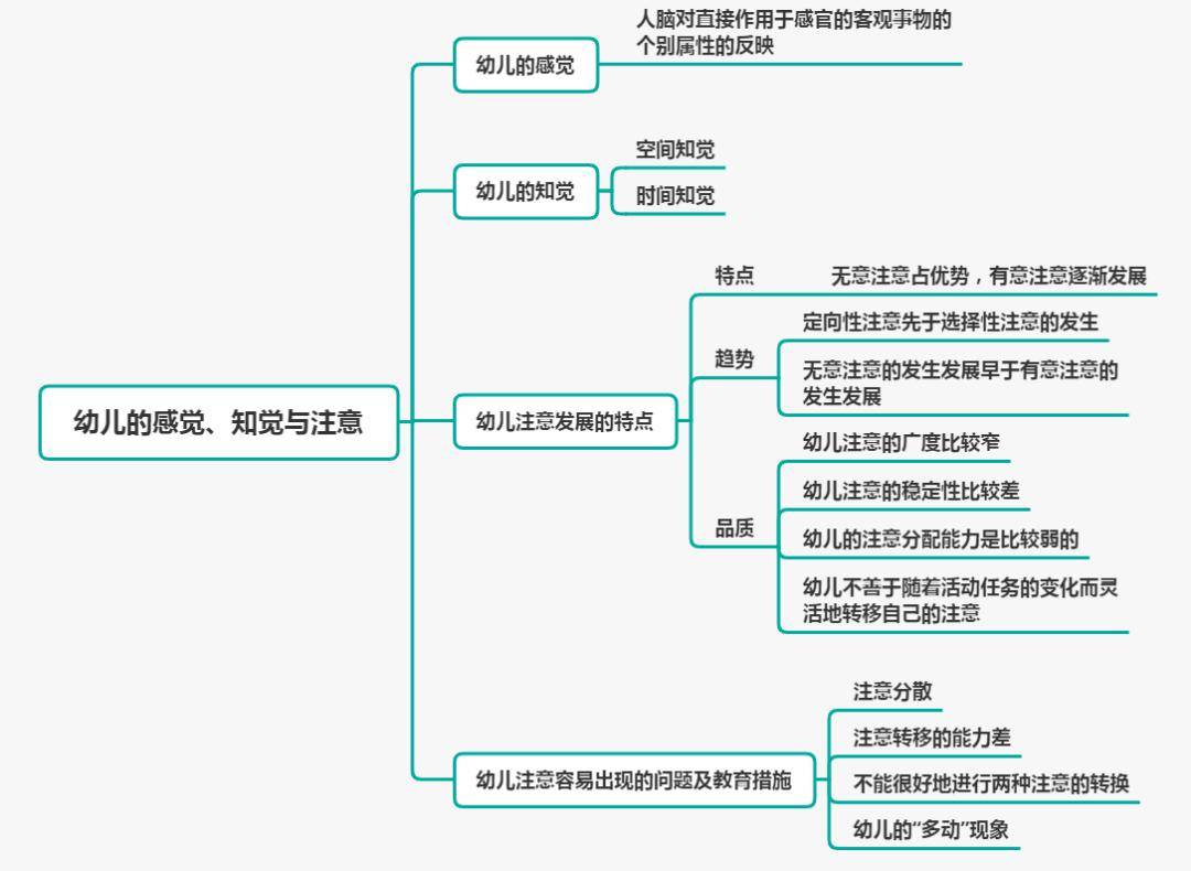 幼教科目二丨幼儿认知的发展(感知觉,注意)