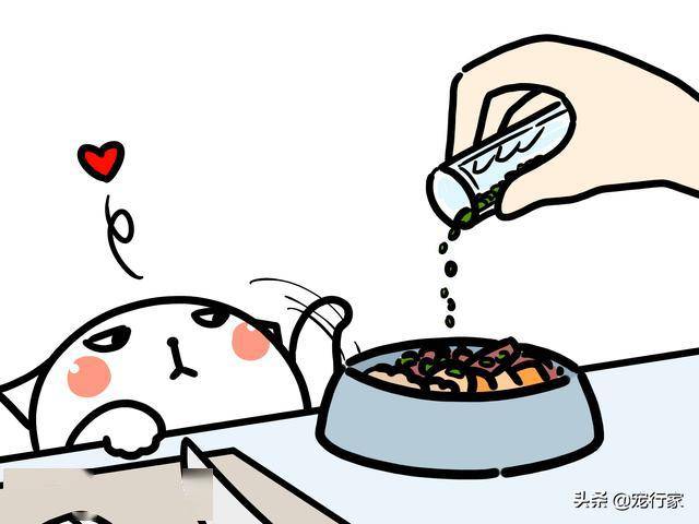 猫薄荷该如何使用?