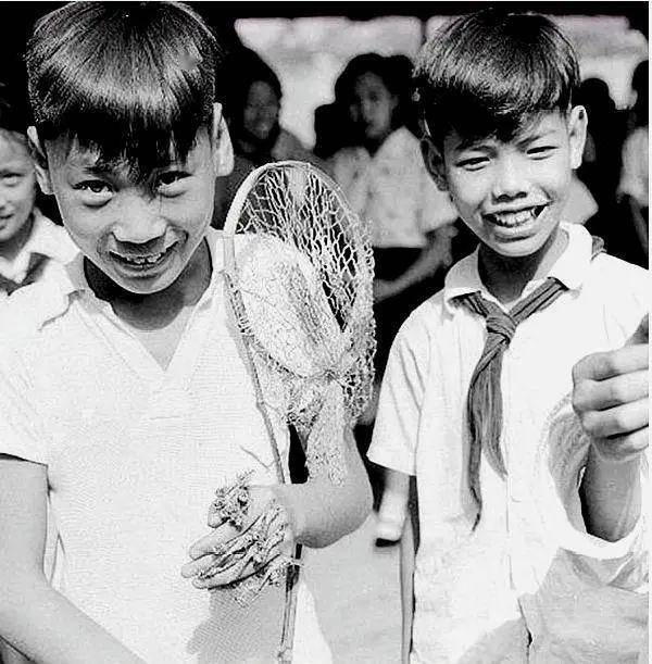 50年代小孩照片图片