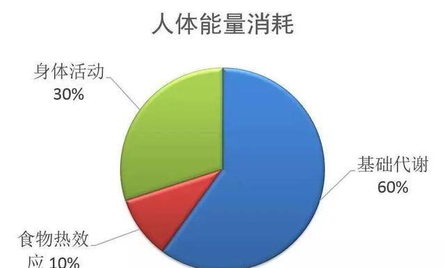 簡單來說用餐後人體的能量轉換率會明顯地提高,這一現象被稱為