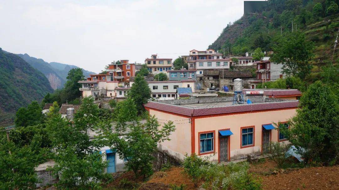 走乡村看脱贫兰花村雨露滋润兰花香