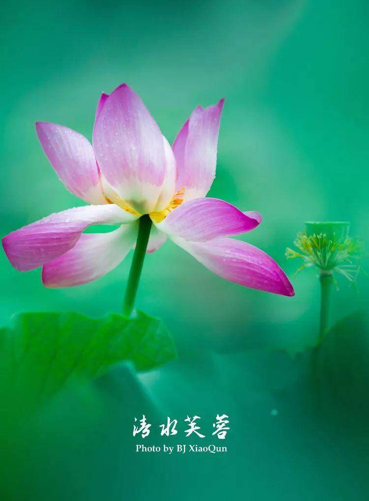 灵魂之美,来源于内心深处的善良