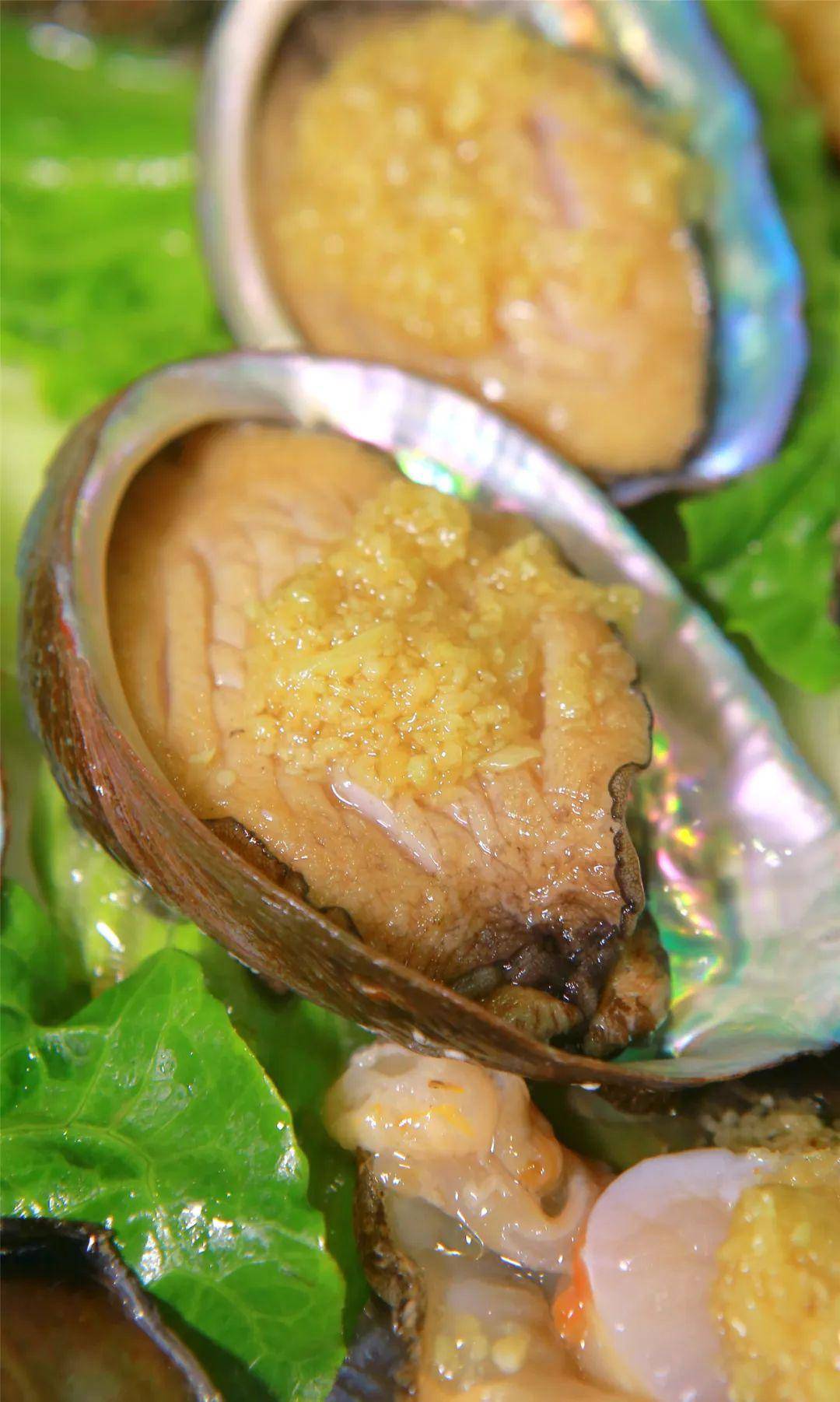 罗氏虾深海无骨鱼大海螺啖啖肉带子丰富的海鲜被"蒸"服后不仅鲜美可口