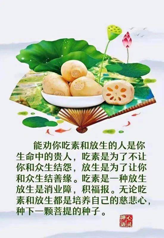 吃素就是护生,能得健康长寿报,能滋养自己的慈悲心!