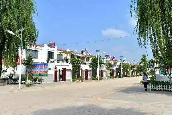 画里农庄百年西头初夏漫步游旬邑醉清风美时光