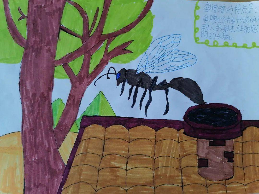 【活力稷下】一本书的n种打开方式丨三年级《昆虫记》读写绘佳作展示