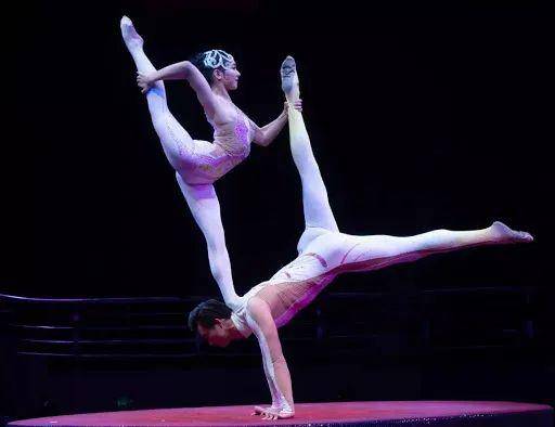 上海星在文娱集团ceo朱寅让外国人爱上中国的演出