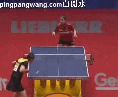 正胶、生胶、长胶、反胶及防弧胶各自是什么特点,都有什么区别_胶皮