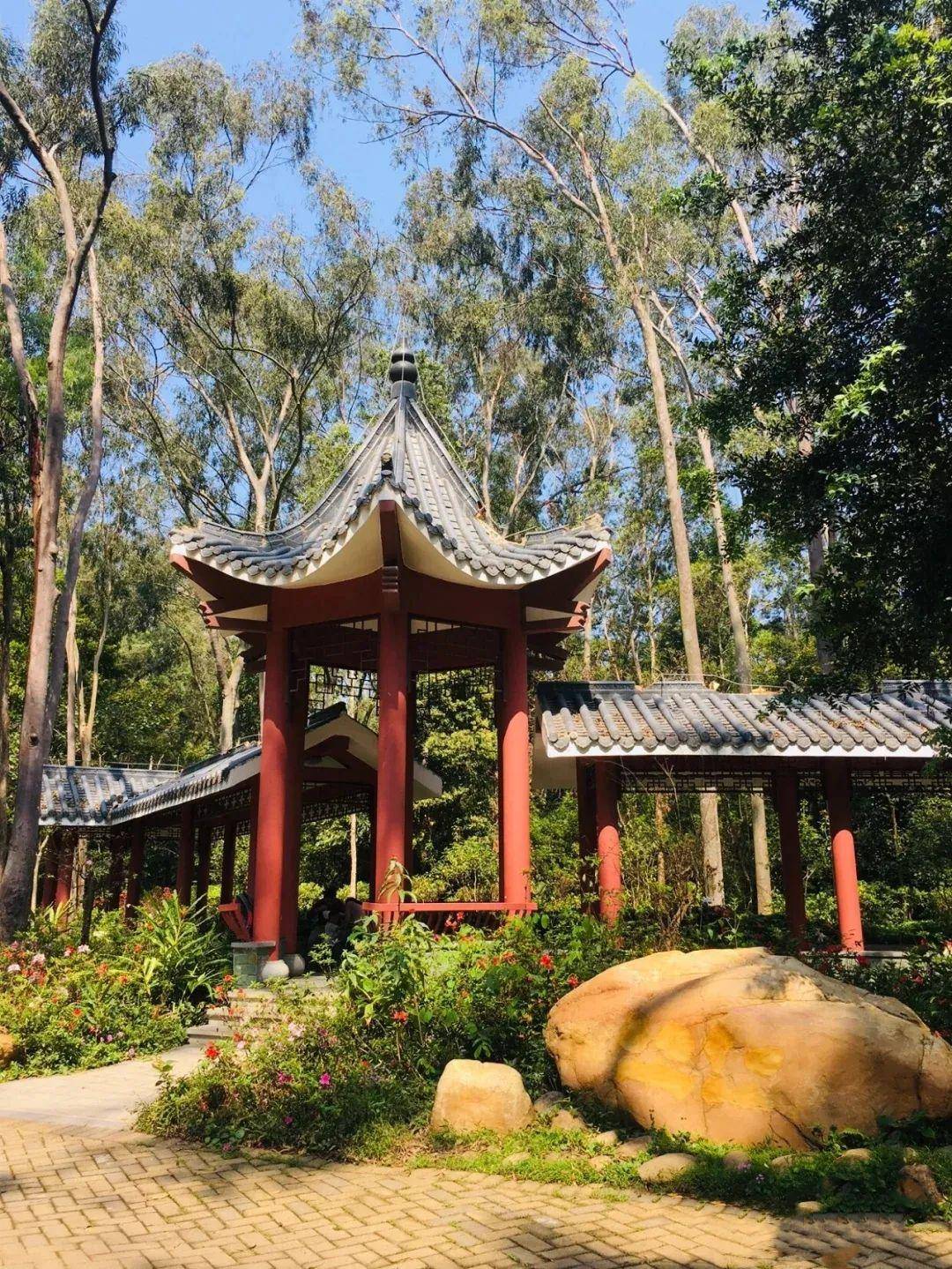 【深圳】宝藏公园,夏天郊游拍照好去处,一览深圳圣景