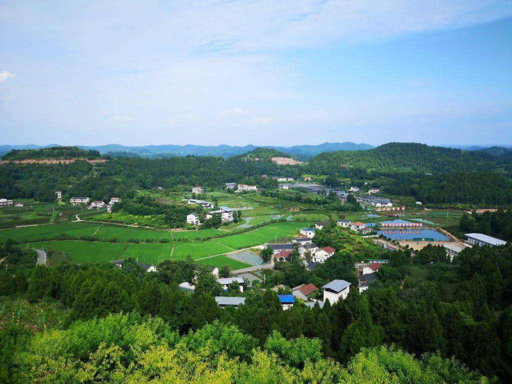 点赞遂宁市蓬溪县常乐镇获评国家级强镇