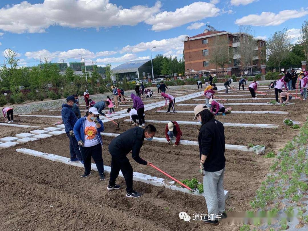 内蒙古通辽红军小学全体教师在南泥湾劳动教育基地厚植红色希望