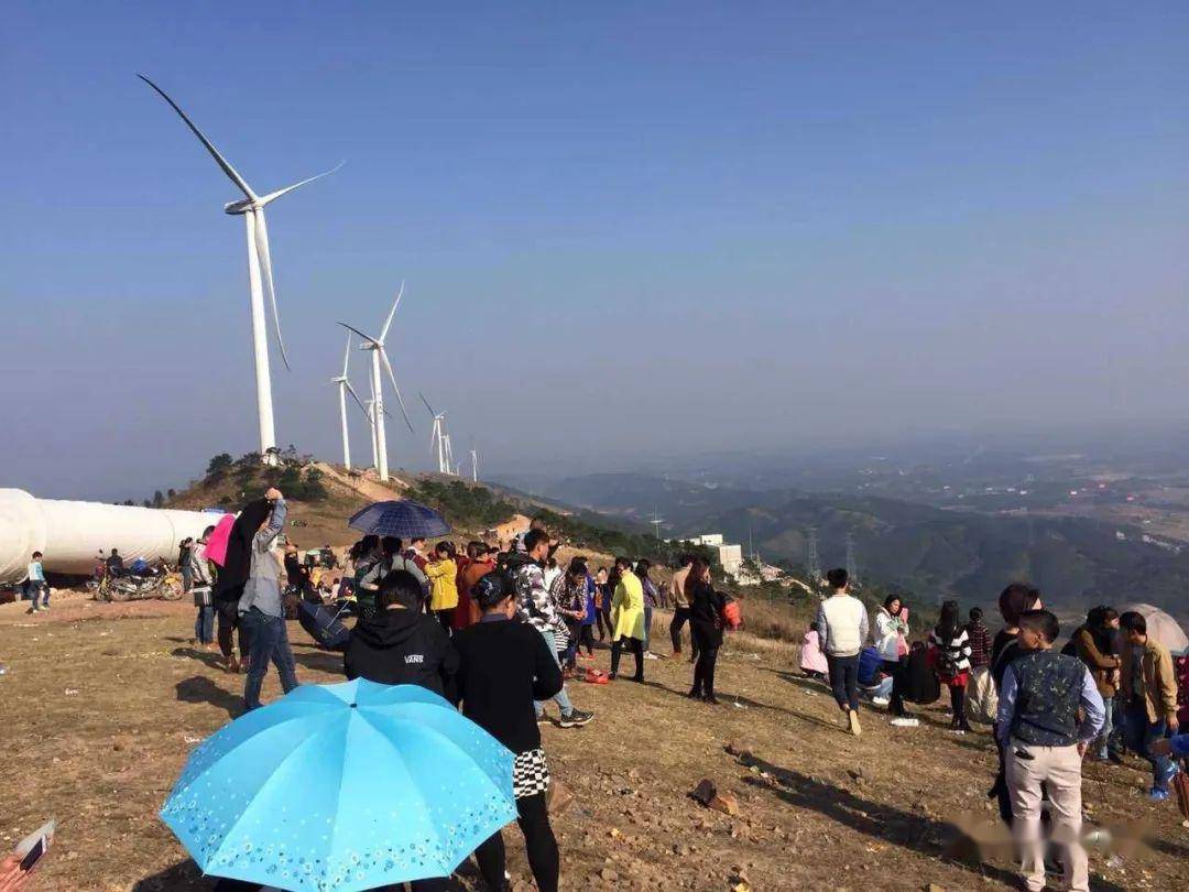 横县六景霞义山开发后,后遗症·你见到有何感想?