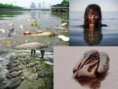 国际视野丨水污染严重侵害全球,看德国是如何从"欧洲下水道"蜕变领先