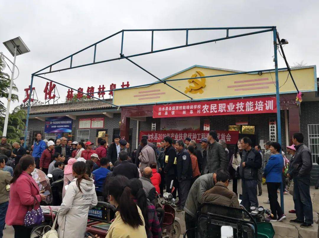 第一书记风采你努力我帮忙带着亲人奔小康白水县林皋镇林皋村第一书记